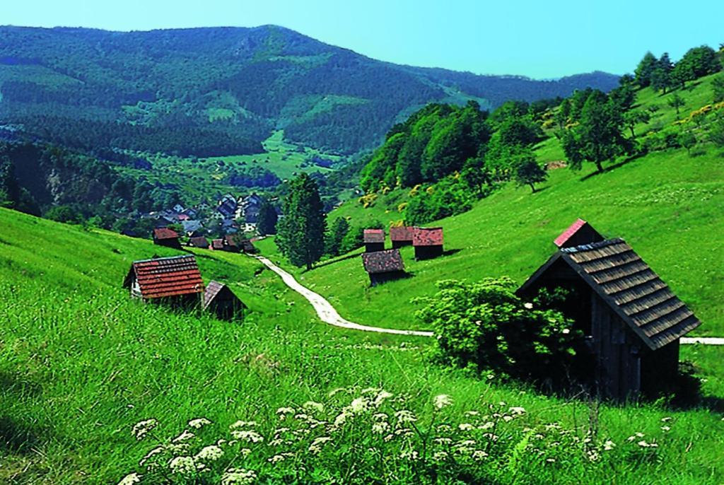 Hotel Schwanen Freudenstadt Ngoại thất bức ảnh